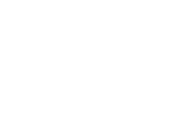 VT Cosmetics Logo