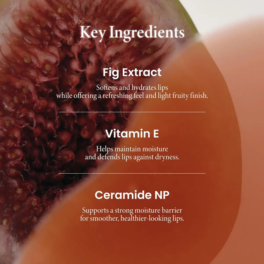 Lip Oil with fig extract, vitamin E, and ceramide NP ingredients listed.