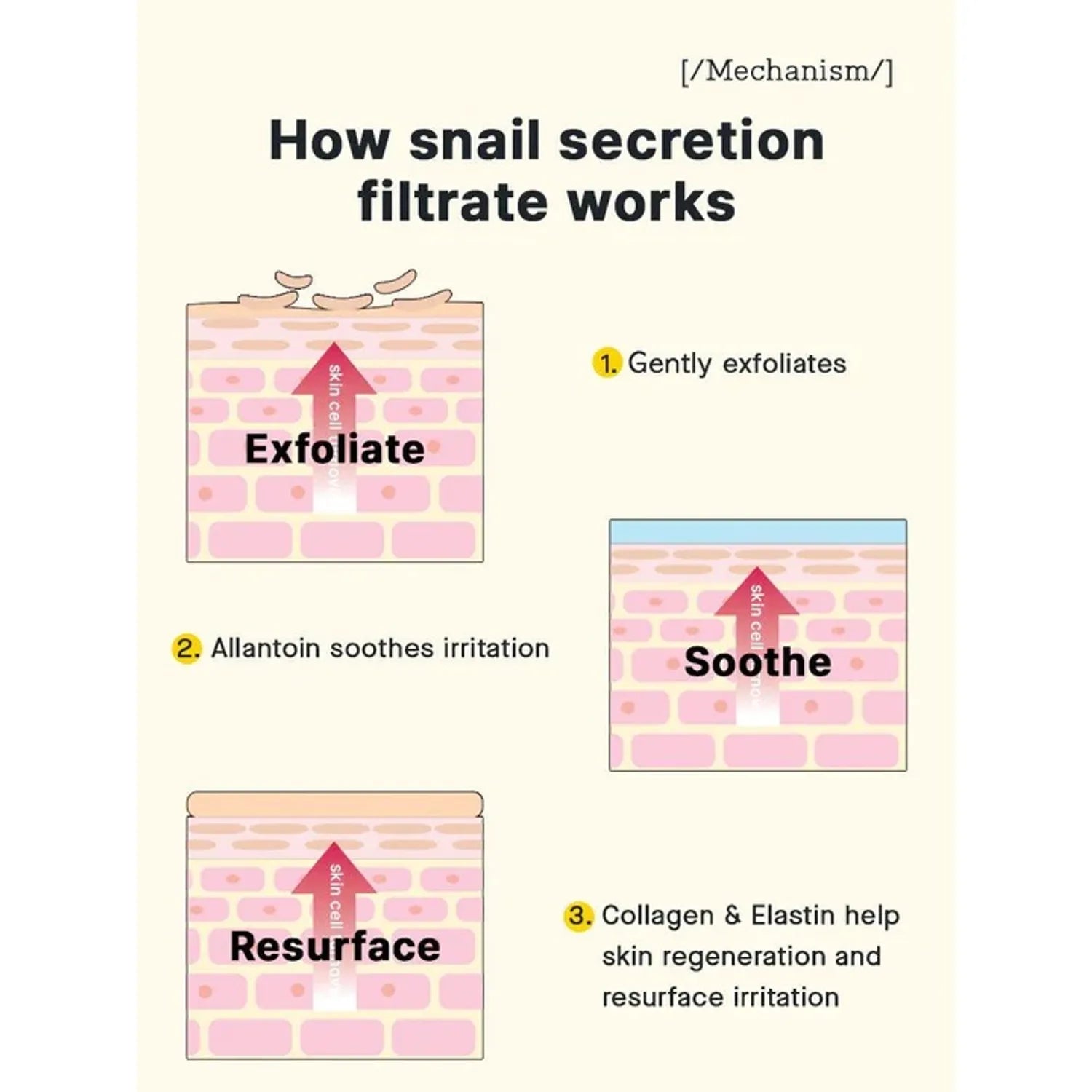 Advanced Snail 92 All in One Cream (100g) Jar