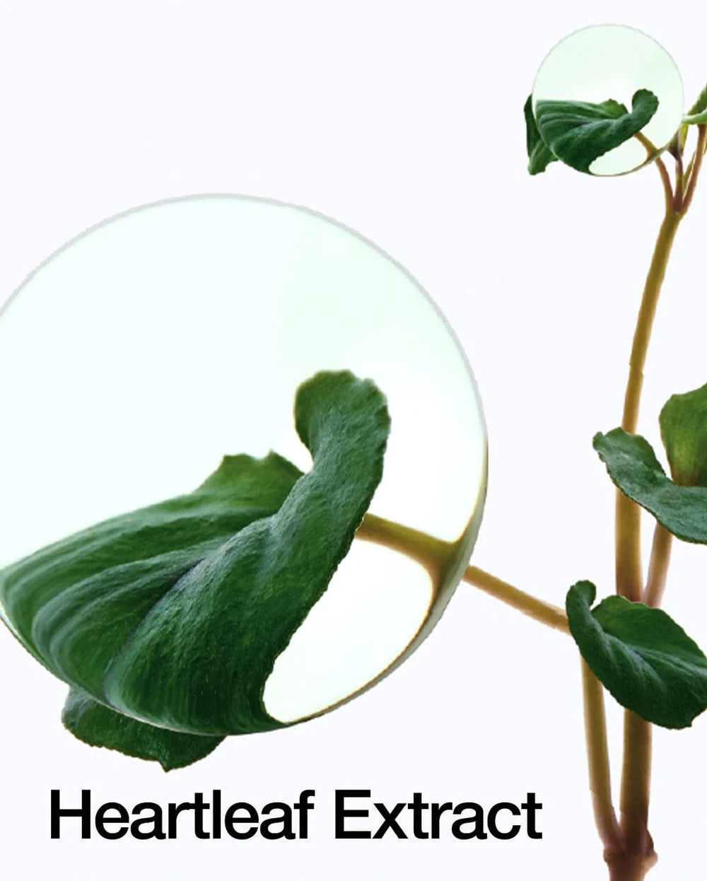 K-Beauty Glow & Soothe Essentials Bundle