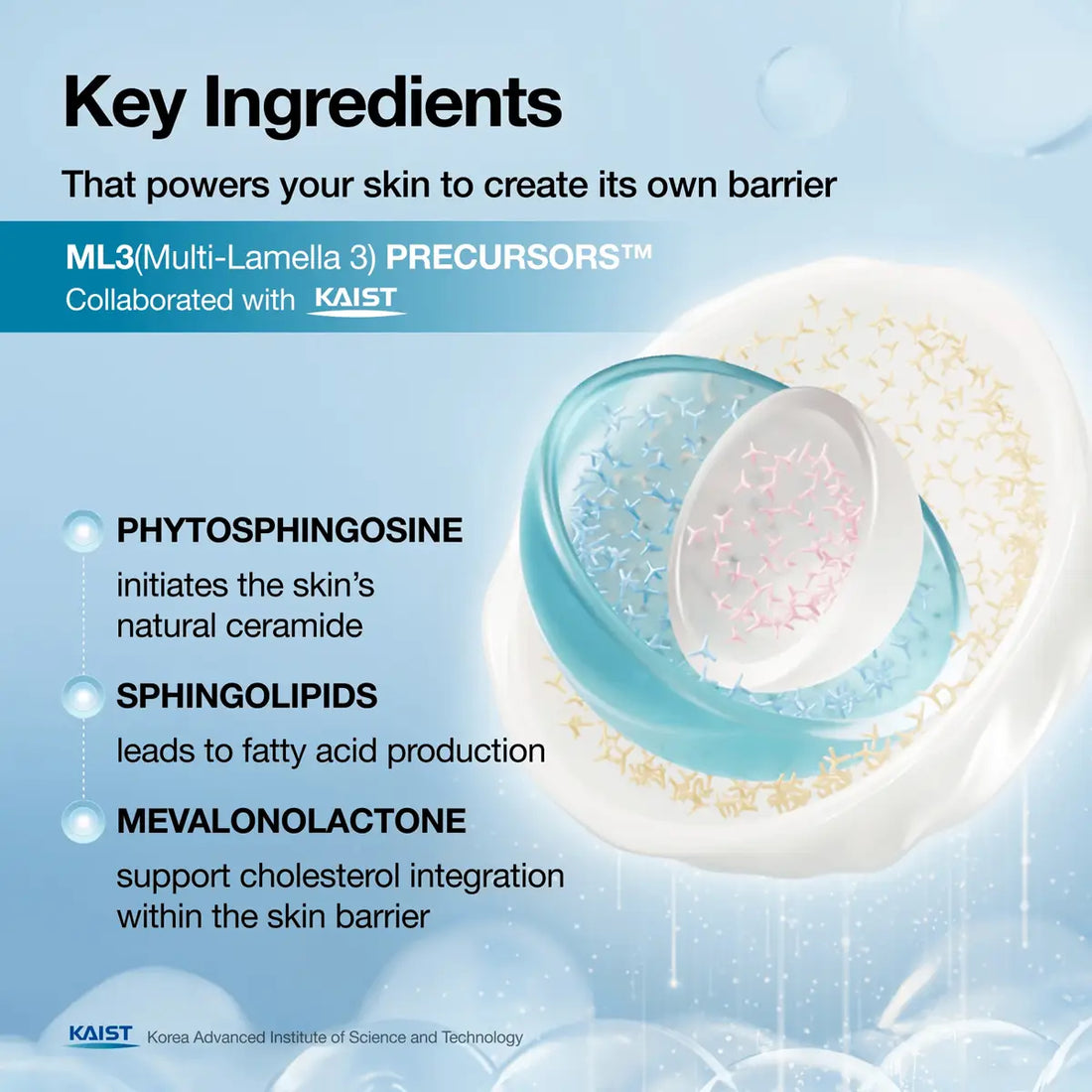 An informational graphic with the heading 'Key Ingredients' on a light blue background, showing a layered cosmetic jar illustration and text listing ML3 (Multi-Lamella 3) Precursors and ingredients phytosphingosine, sphingolipids, and mevalonolactone. KAIST branding is visible.