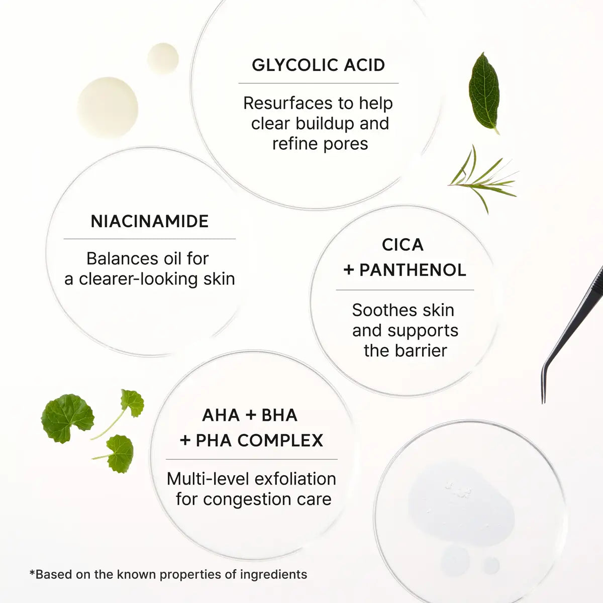 Skincare ingredient infographic with text and icons on a white background