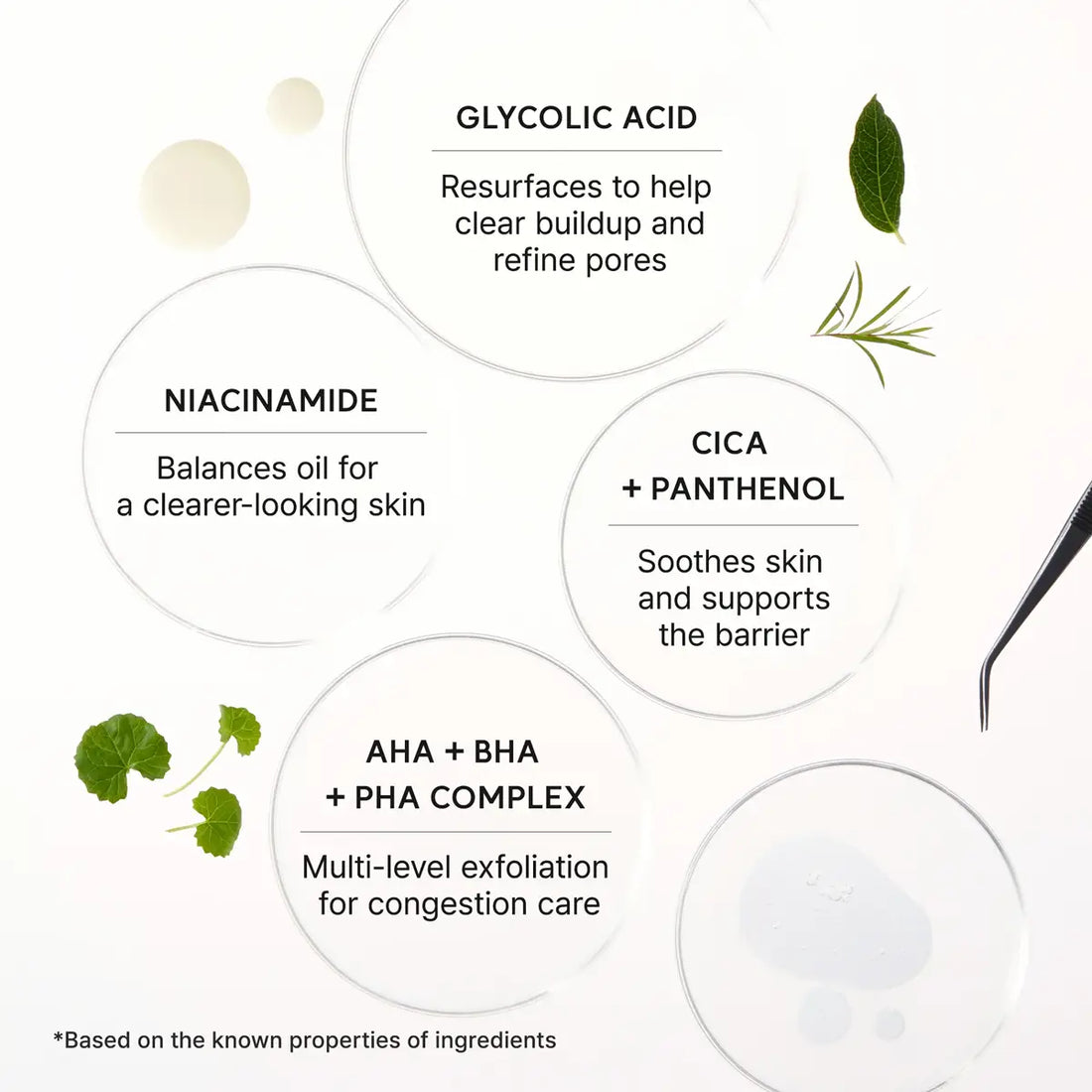 Skincare ingredient infographic with text and icons on a white background