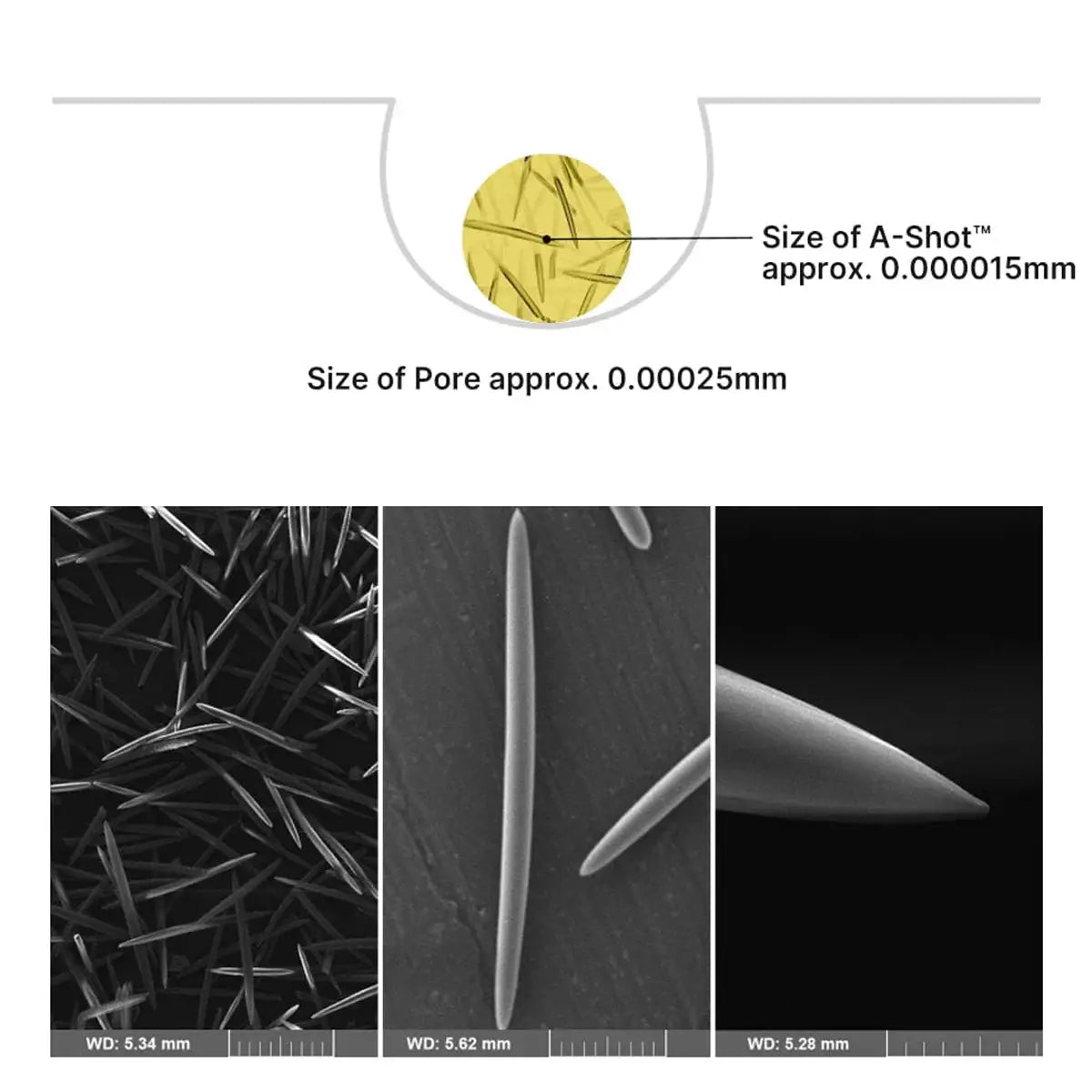 Comparison of A-Shot size to pore size with microscopic images below.