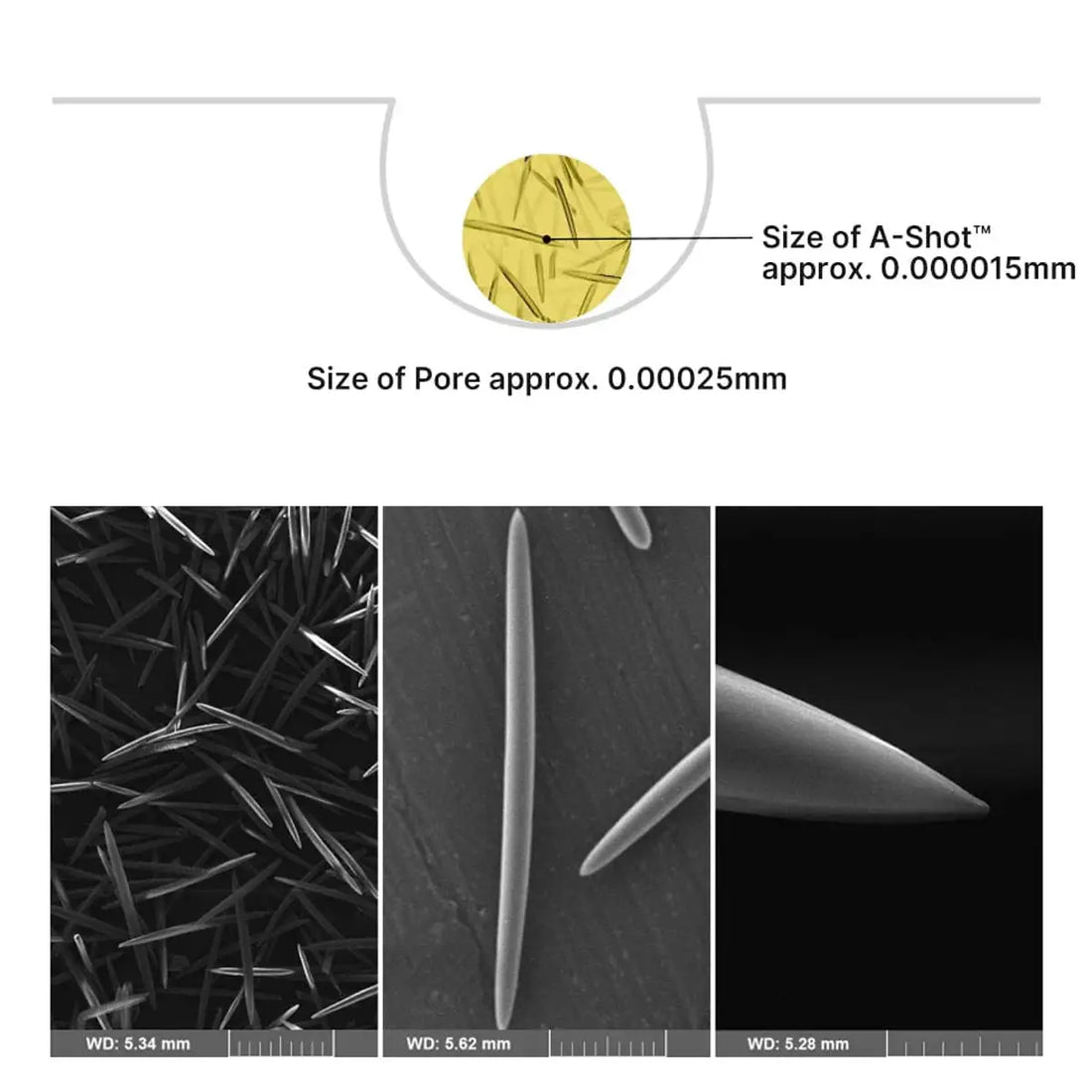 Comparison of A-Shot size to pore size with microscopic images below.