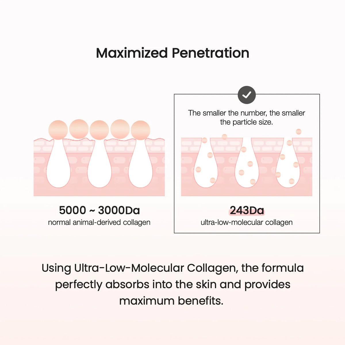 Biodance Collagen Cream – Firming & Hydrating Korean Skincare Moisturizer for Anti-Aging and Wrinkle Care. Effectiveness