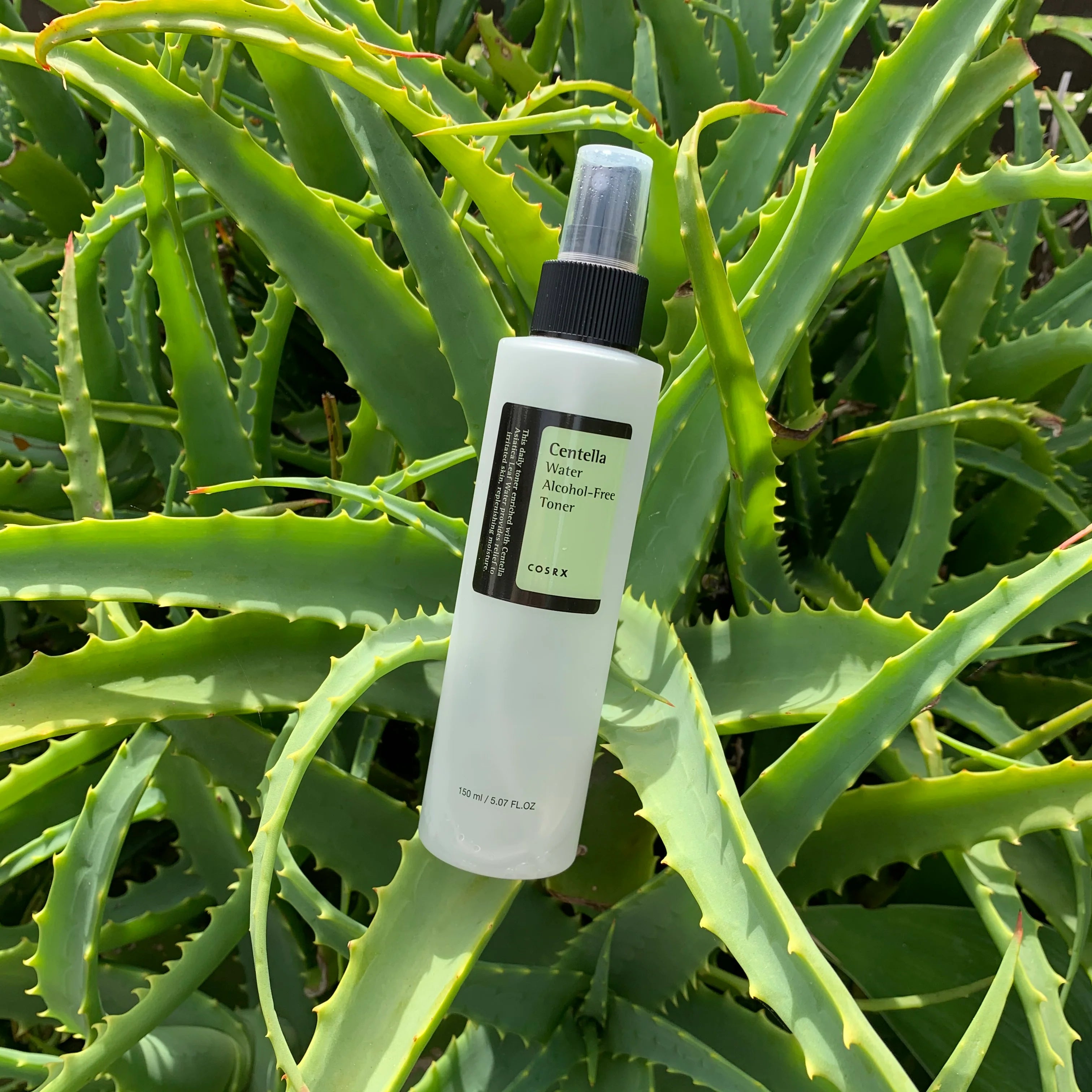 COSRX Centella Water Toner 150ml | Mirae Beauty Products UAE