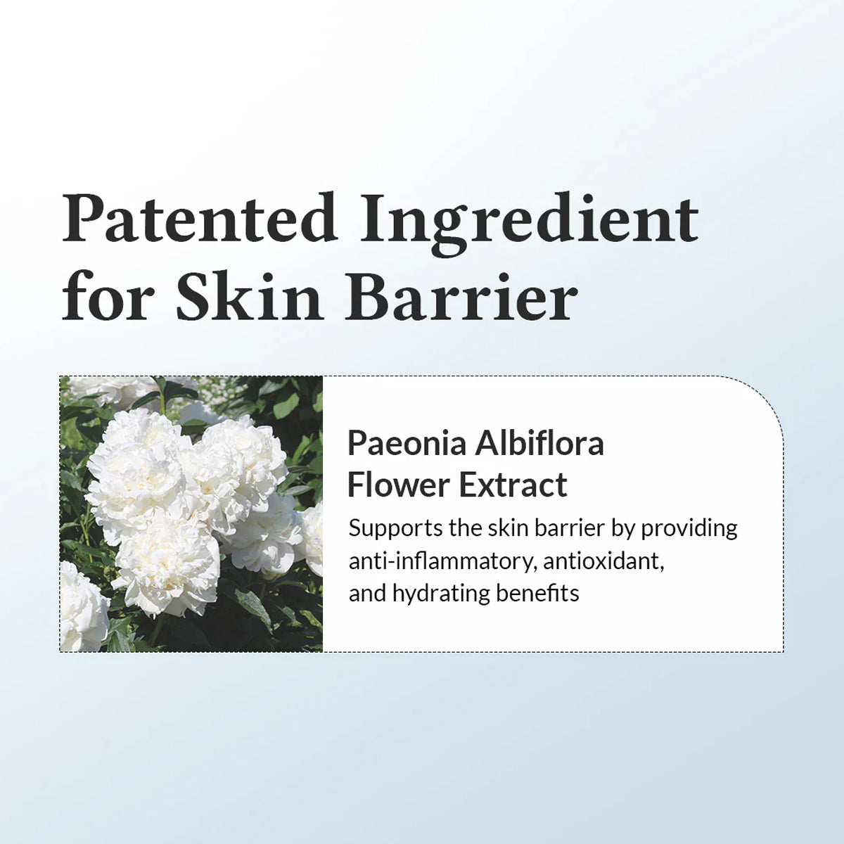 Dr. Althea 147 Barrier Cream – Korean skincare barrier repair cream for sensitive, dry, and irritated skin with Centella and Ceramides. Ingredients 3