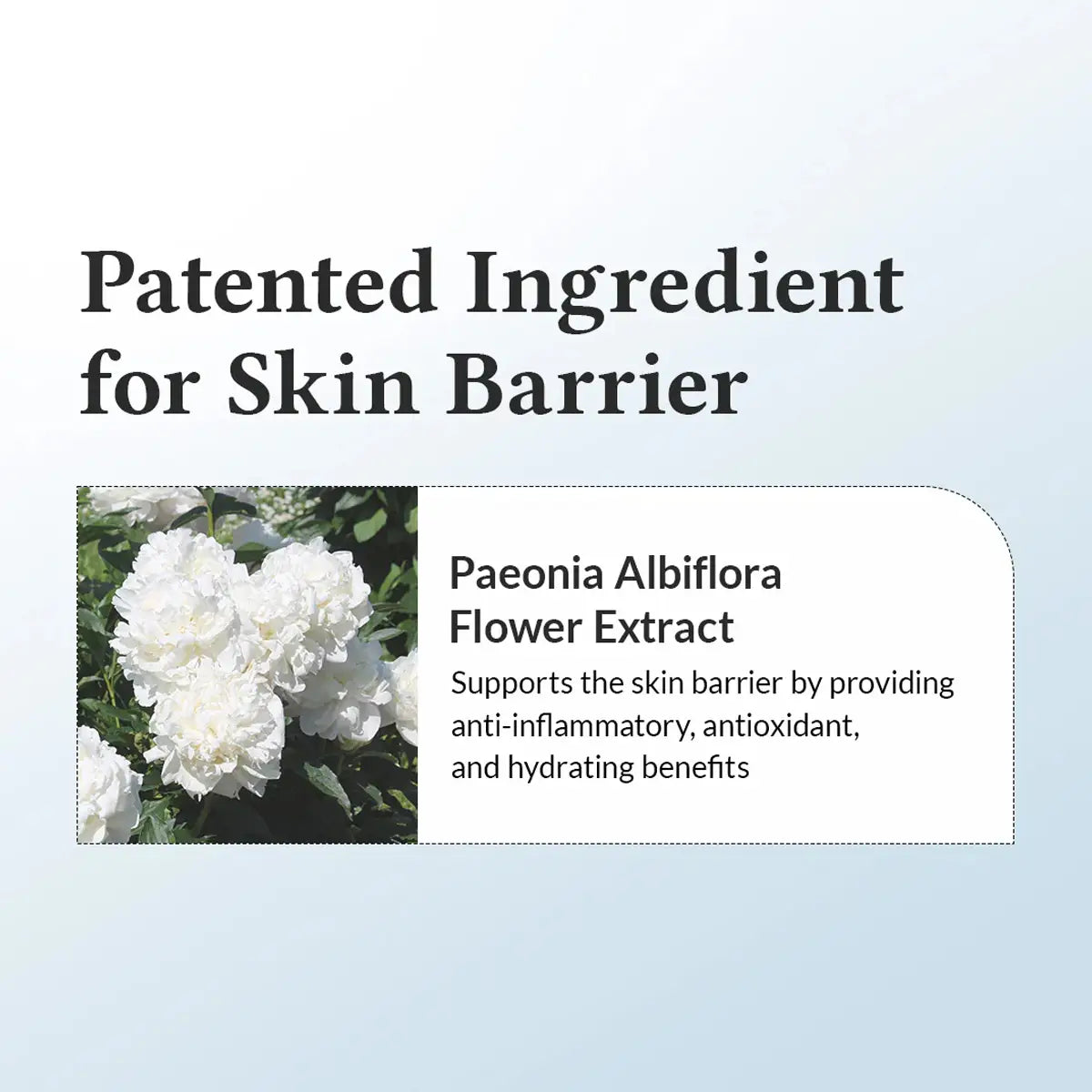 Advertisement for Paeonia Albiflora Flower Extract as a patented ingredient for skin barrier support.