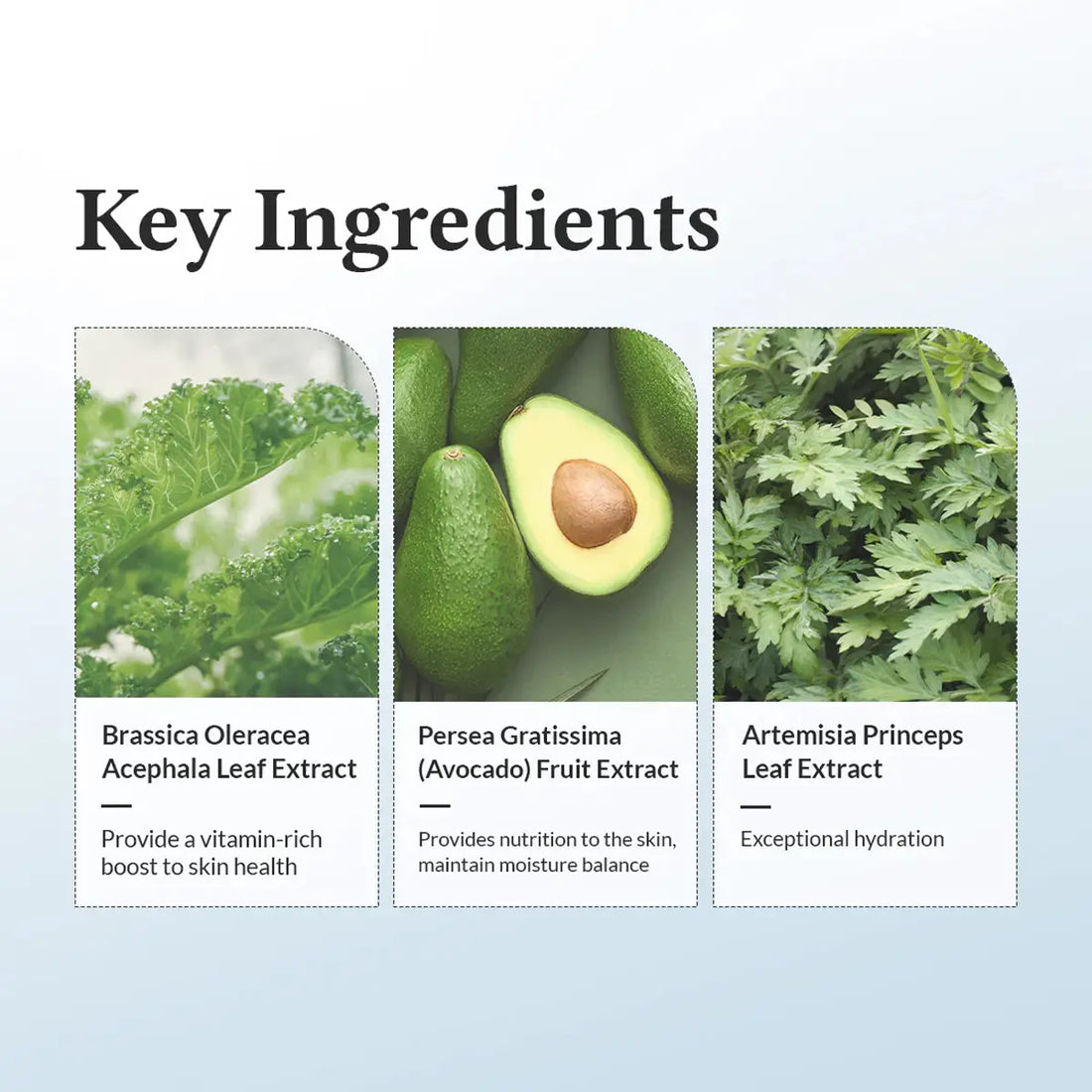 Key ingredients with images and descriptions on a light blue background
