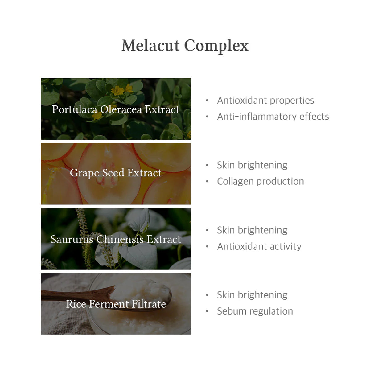 Dr. Althea 15% Niacinamide Purity Serum – Korean skincare brightening serum for oily and acne-prone skin with high-strength niacinamide. Ingredients 2