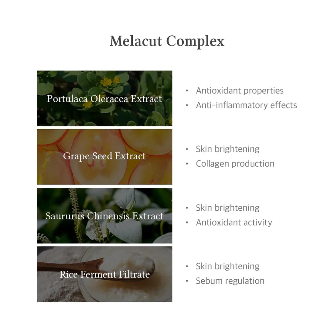 Melacut Complex with images of extracts and their benefits on a white background