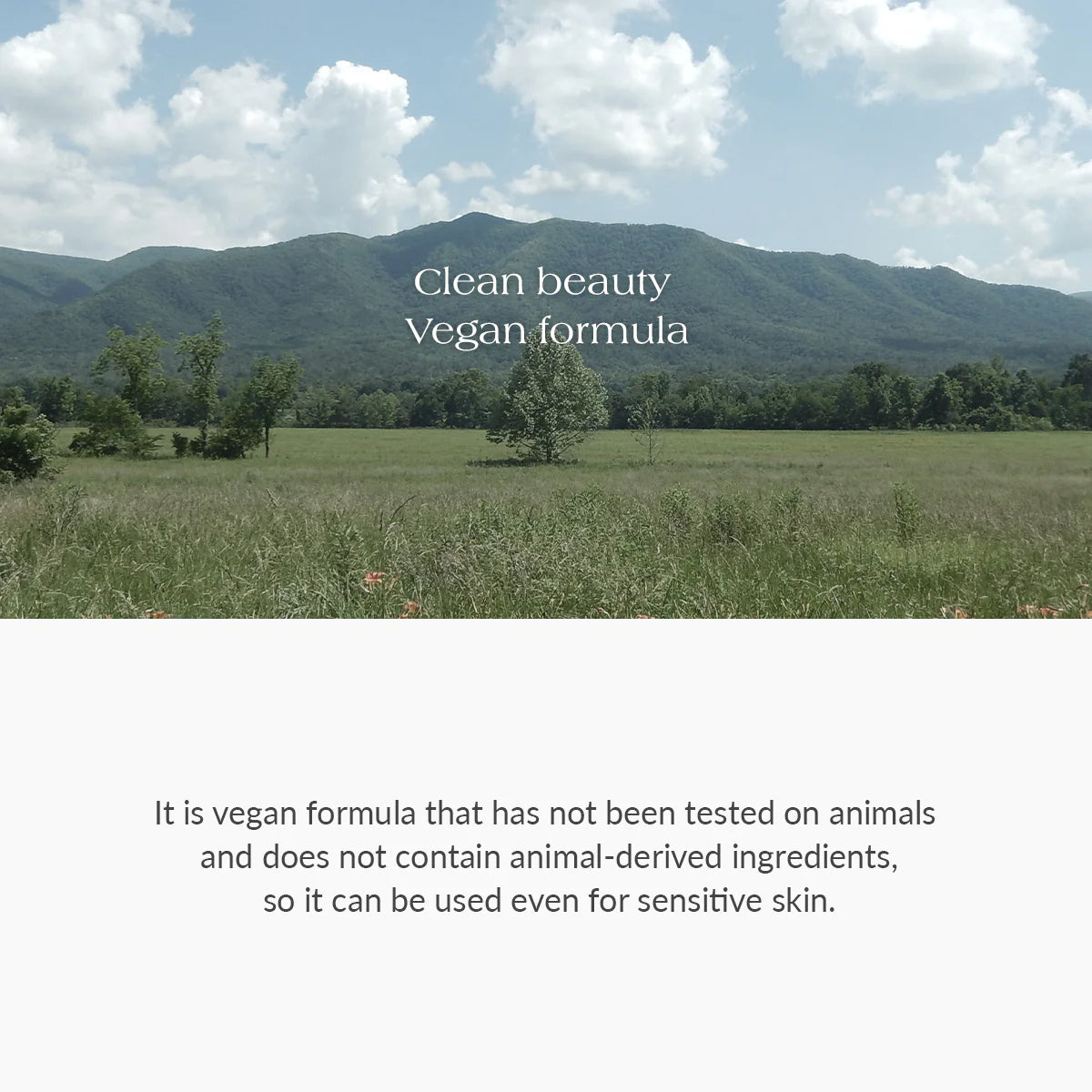 Dr. Althea Amino Acid Gentle Bubble Cleanser – Korean skincare gentle foaming cleanser for sensitive skin with soothing botanical extracts. Vegan