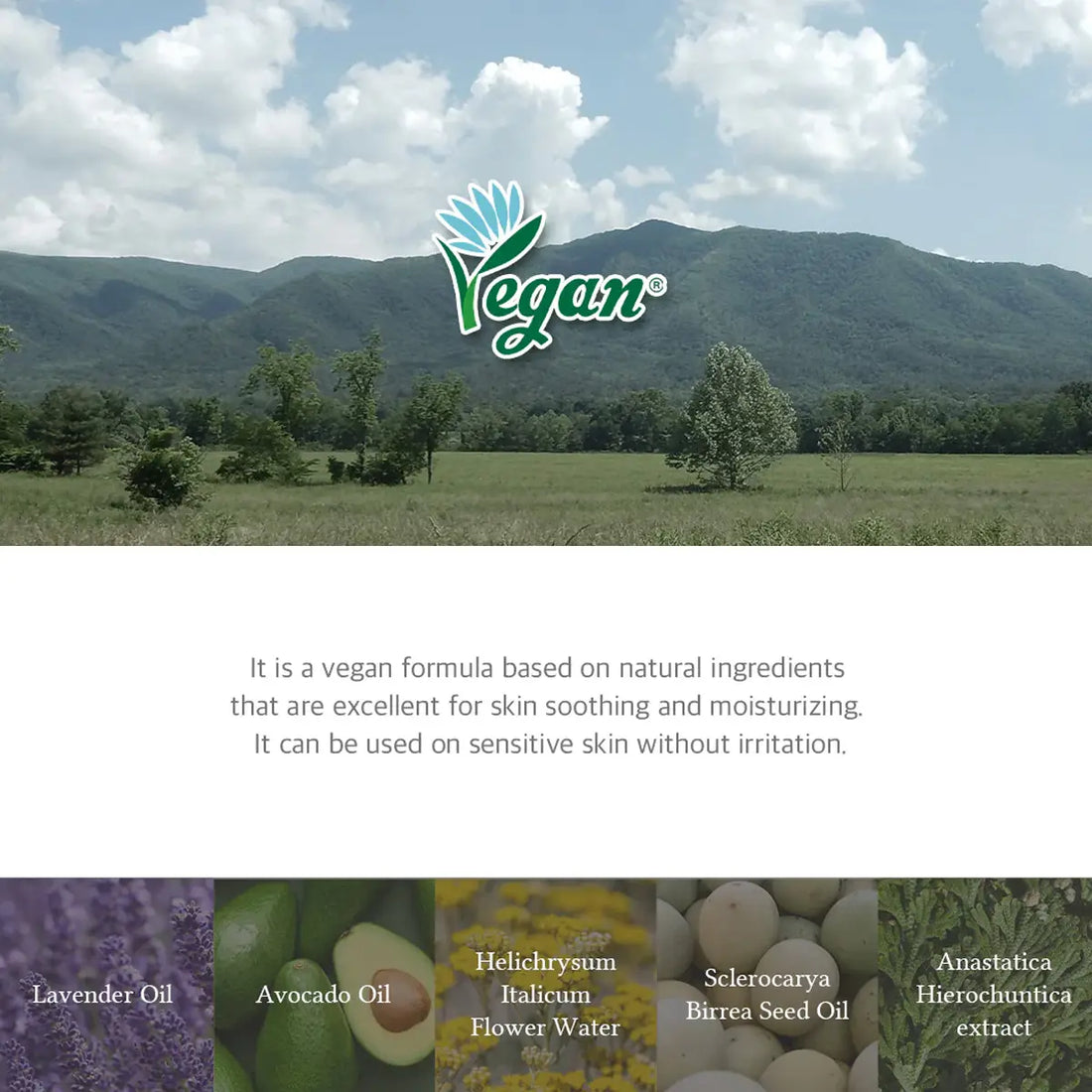 Vegan logo with a scenic background of mountains and trees, featuring natural ingredients and their benefits.