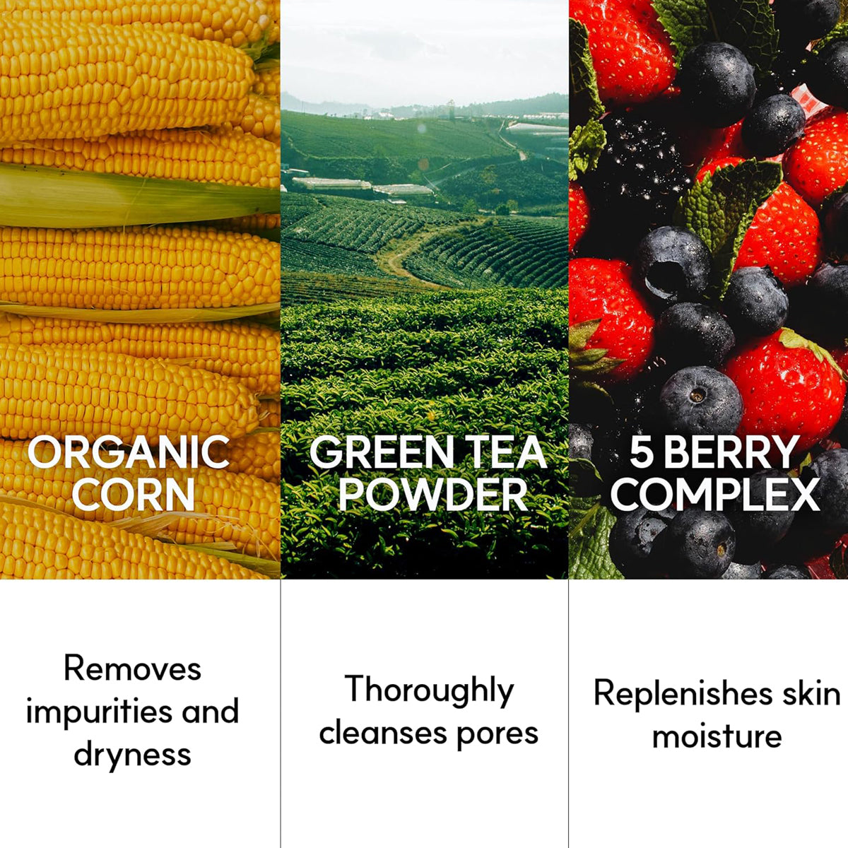 EQQUALBERRY pH-Balanced Sauna Cleanser – Gentle Korean face wash for dry, sensitive skin. Ingredients