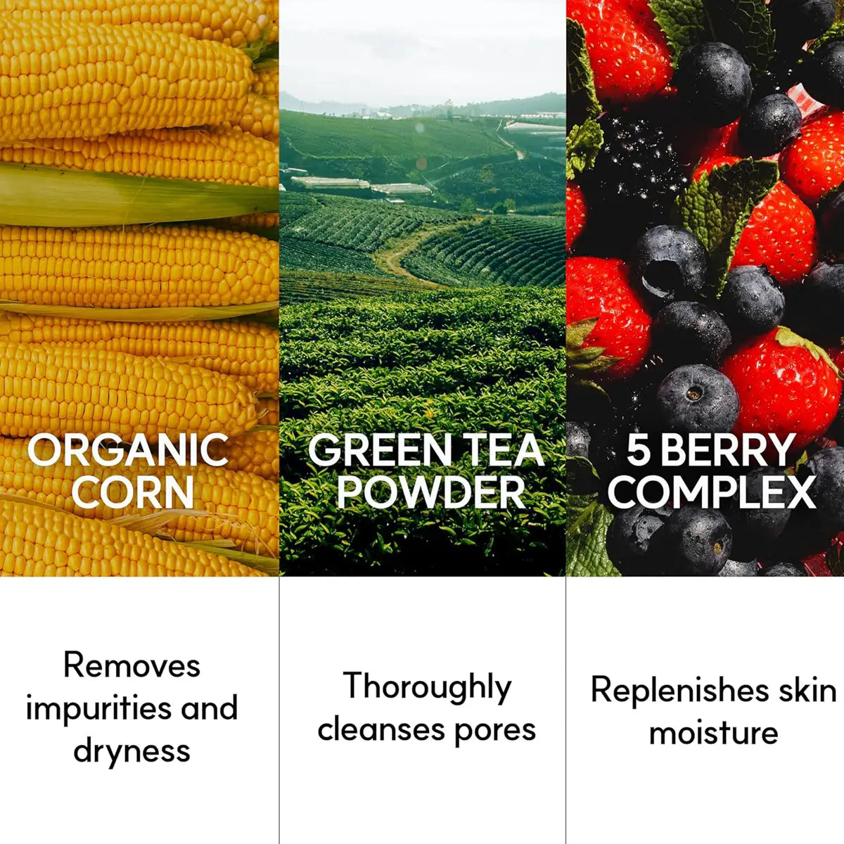Three product images with text describing organic corn, green tea powder, and a 5 berry complex.