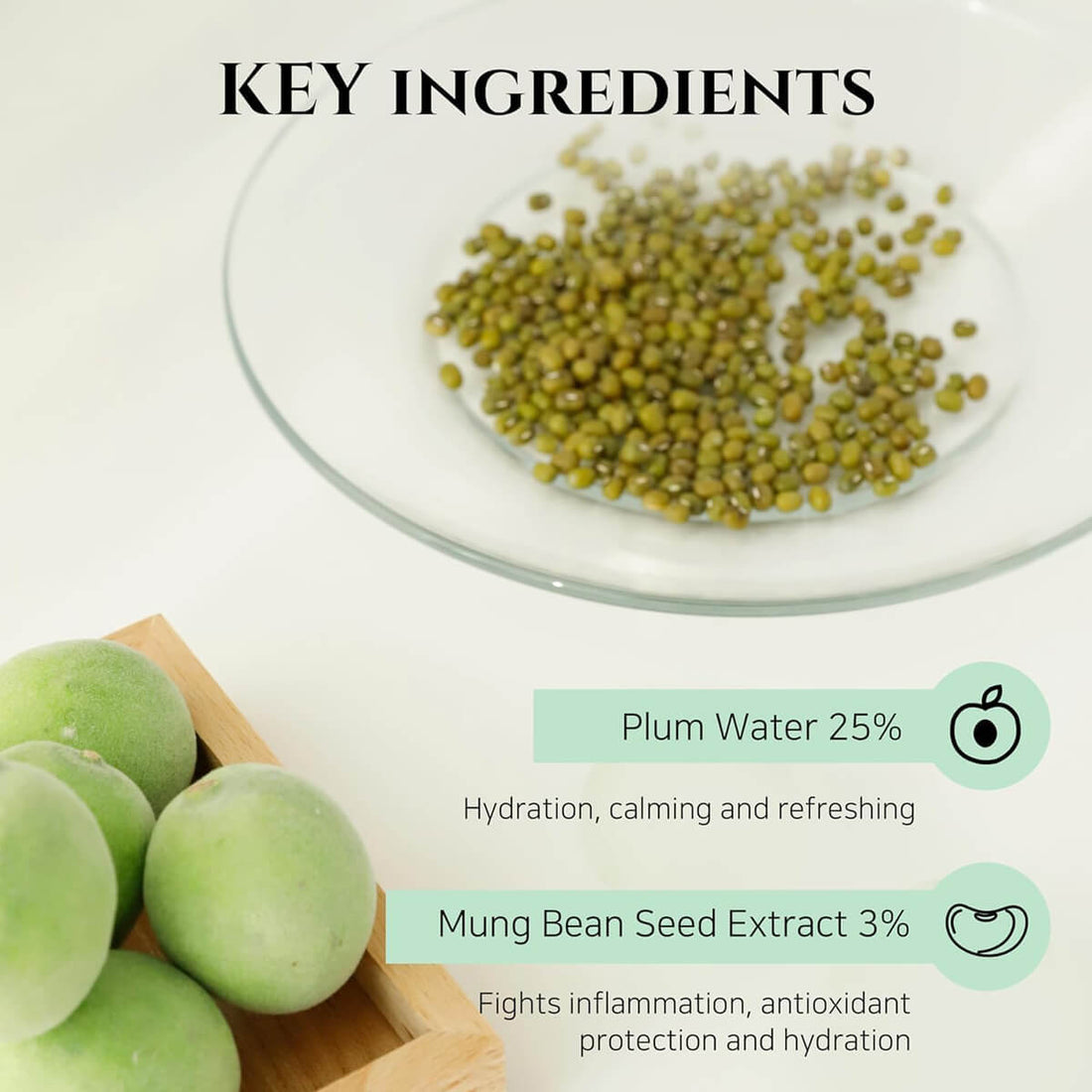 Key ingredients of a product with mung beans and plum water on a white background