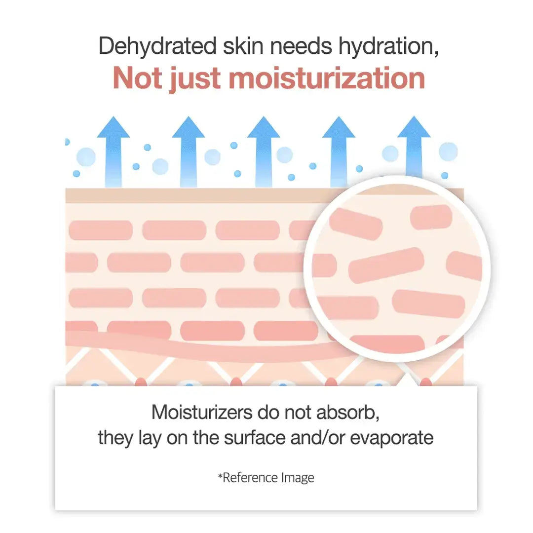 Diagram of skin hydration with text about moisturizers not absorbing into the skin.