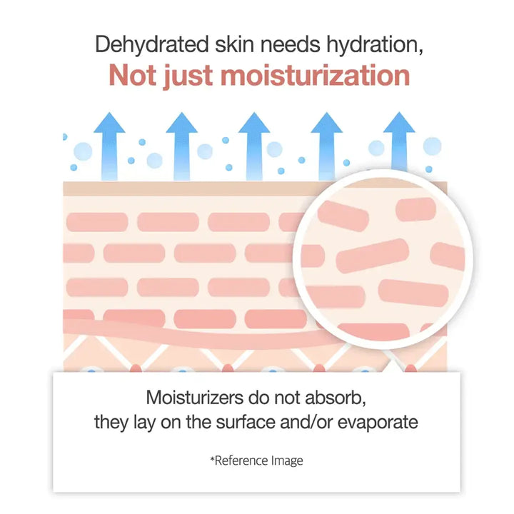 Diagram of skin hydration with text about moisturizers not absorbing into the skin.