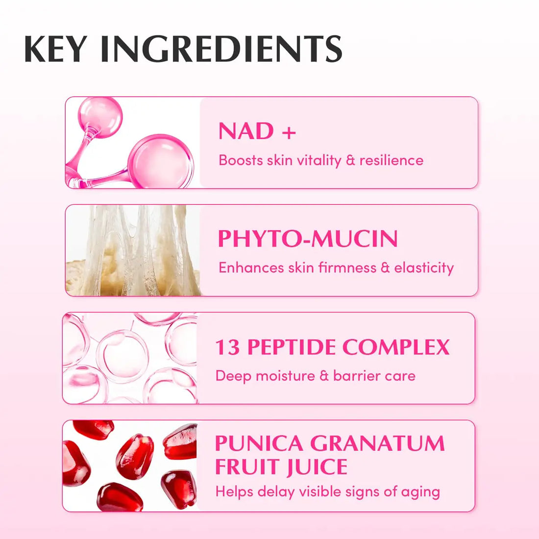 List of key ingredients with corresponding images and descriptions on a pink background