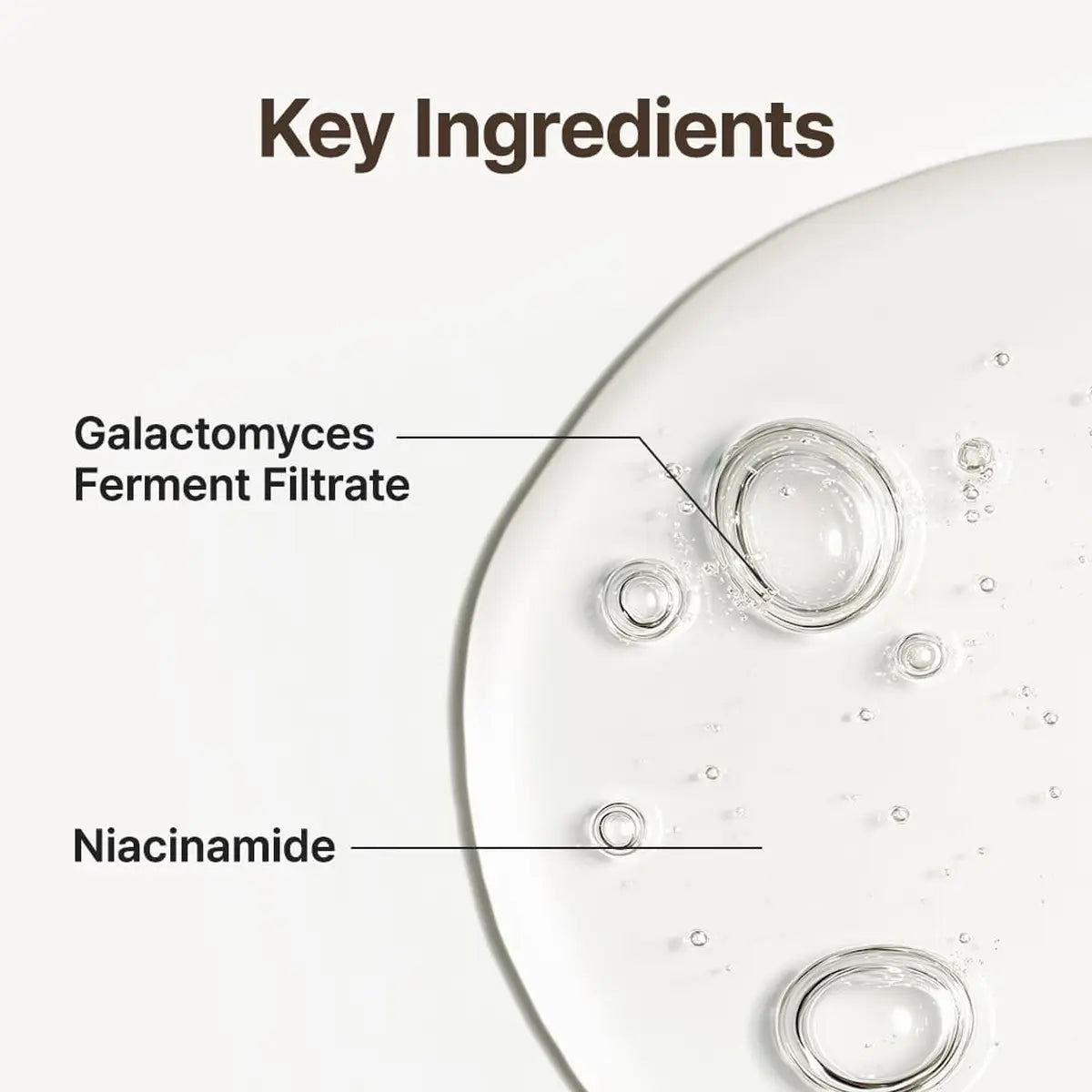 Key ingredients for Purito Galacto Niacin 97 Power Essence 60mL: Galactomyces Ferment Filtrate and Niacinamide.