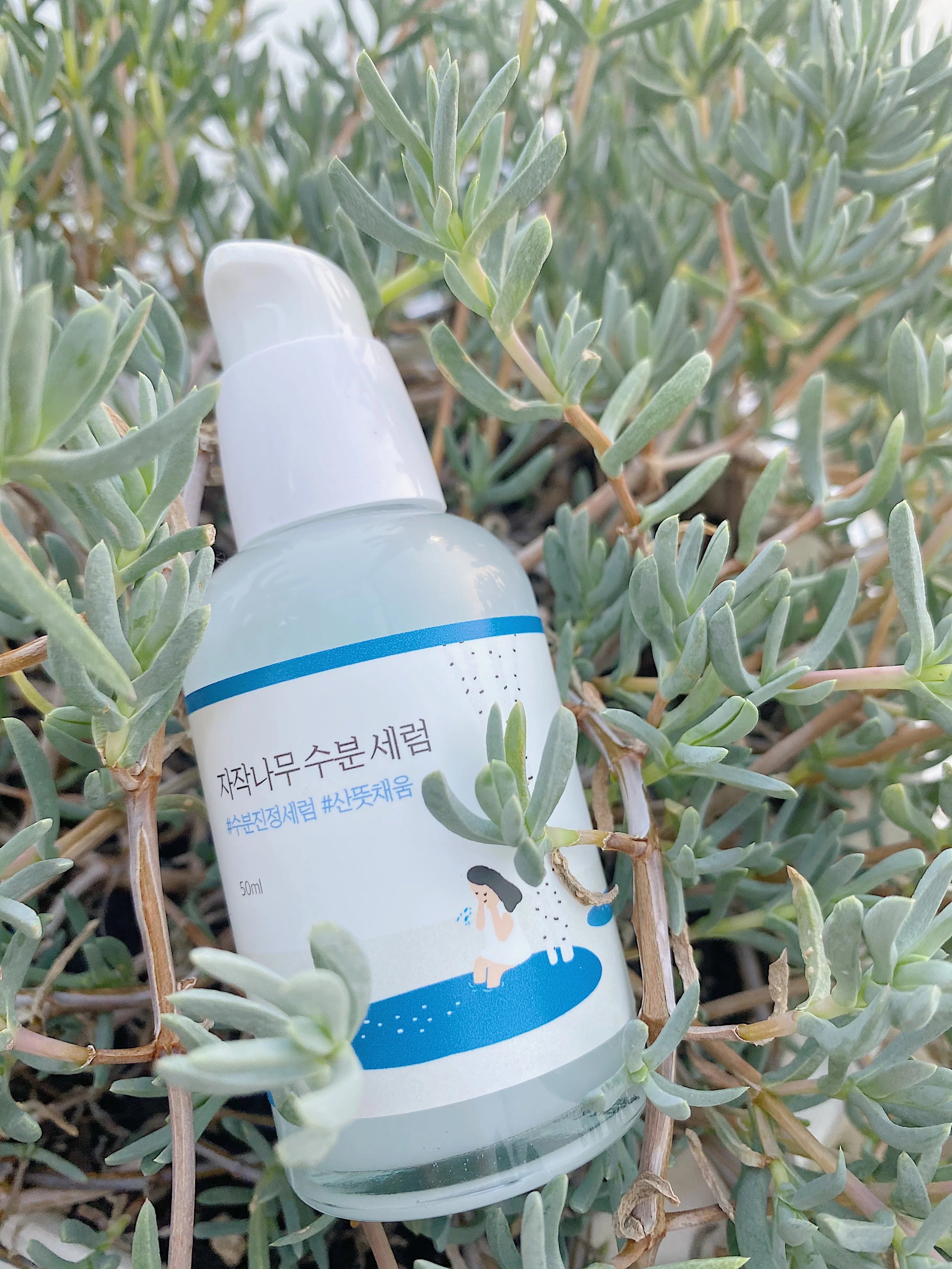 Round Lab Birch Juice Serum 50ml | Korean Skincare at Mirae Beauty Hub