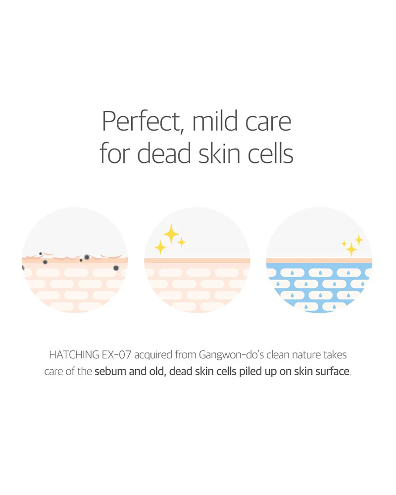 Round Lab 1025 Dokdo Toner 200ml hydrating and soothing Korean toner for sensitive skin