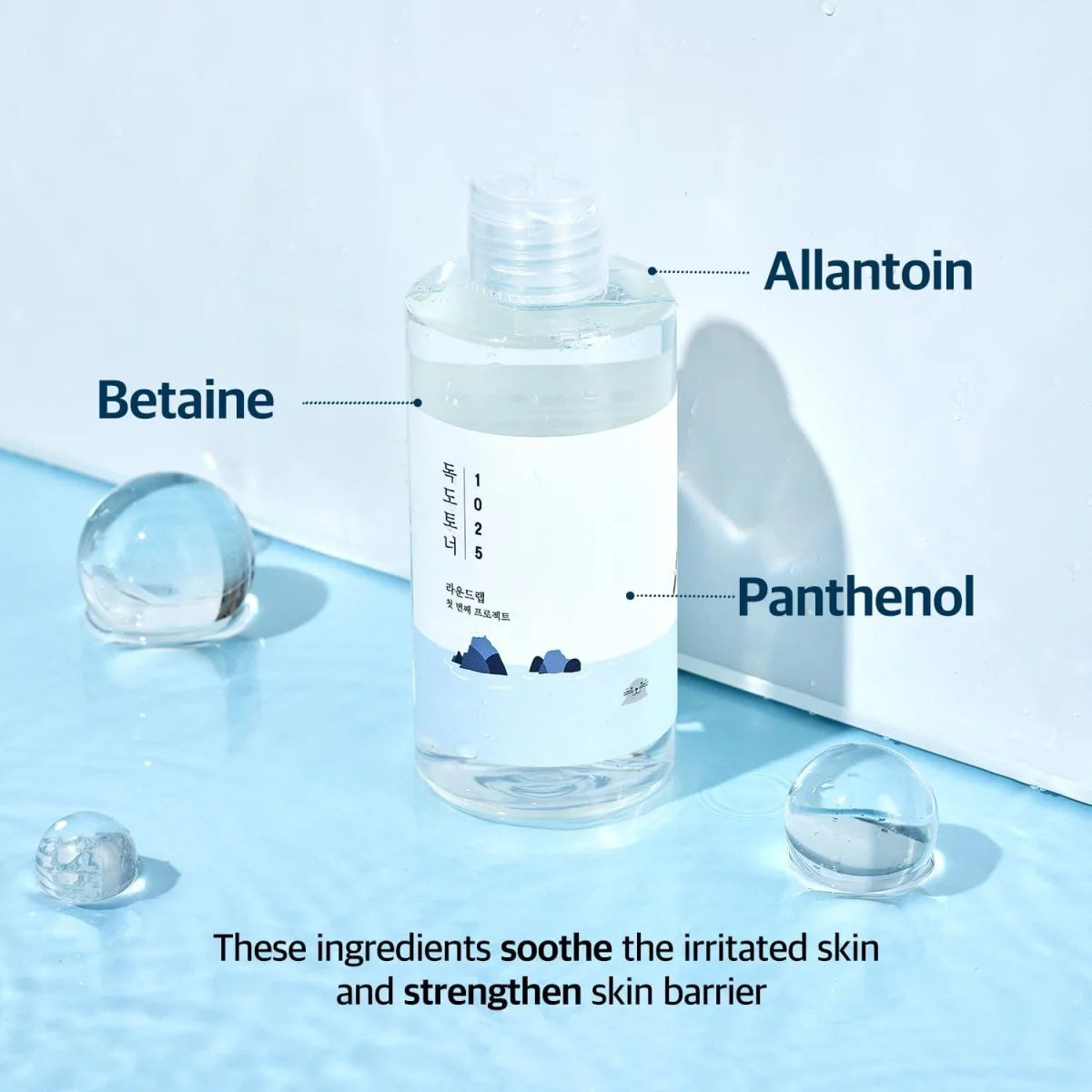 Round Lab 1025 Dokdo Toner 200ml hydrating and soothing Korean toner for sensitive skin