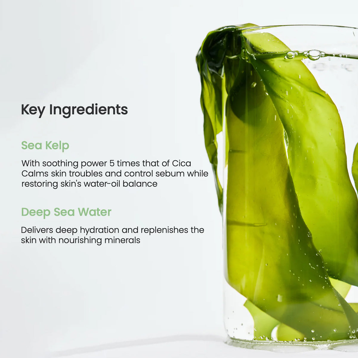 Biodance Refreshing Sea Kelp Real Deep Mask – Korean Skincare Bio-Cellulose Sheet Mask with Sea Kelp for Oil Control and Hydration. Key Ingredients