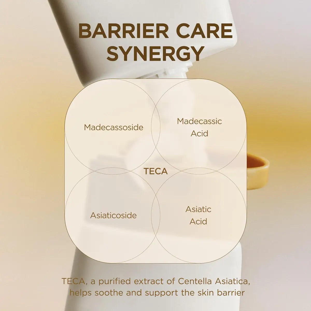 Skin1004 Madagascar Centella Cream 75mL barrier care synergy with key ingredients for skin healing.