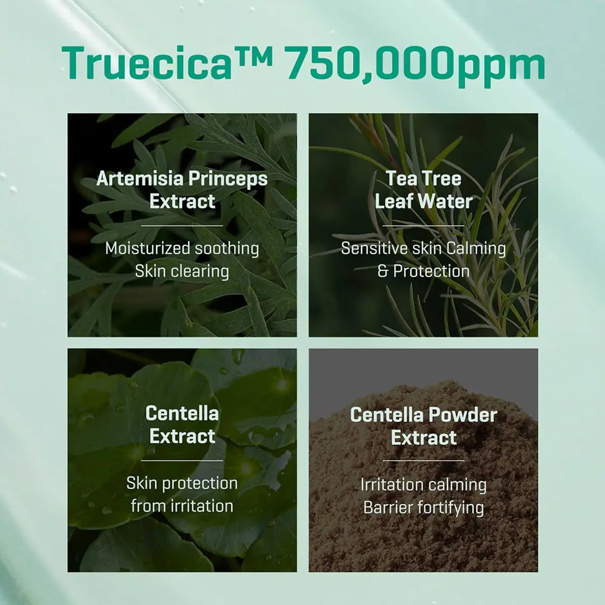 Truecica™ 750,000ppm ingredients including Artemisia Princeps Extract, Tea Tree Leaf Water, Centella Extract, Centella Powder Extract.