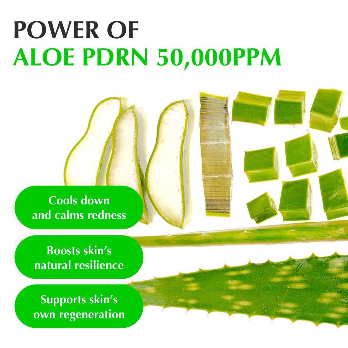 Aloe vera plant and its parts with text highlighting the benefits of Aloe PDRN 50,000PPM.