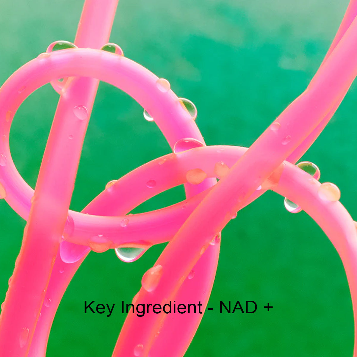 Close-up of pink molecular structure with water droplets on a green background, labeled 'Key Ingredient - NAD+'.