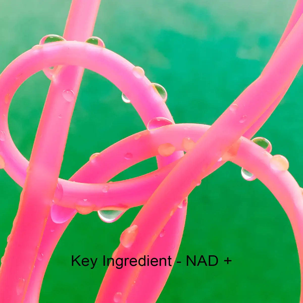 Pink molecular structure with water droplets on a green background, labeled 'Key Ingredient - NAD+'