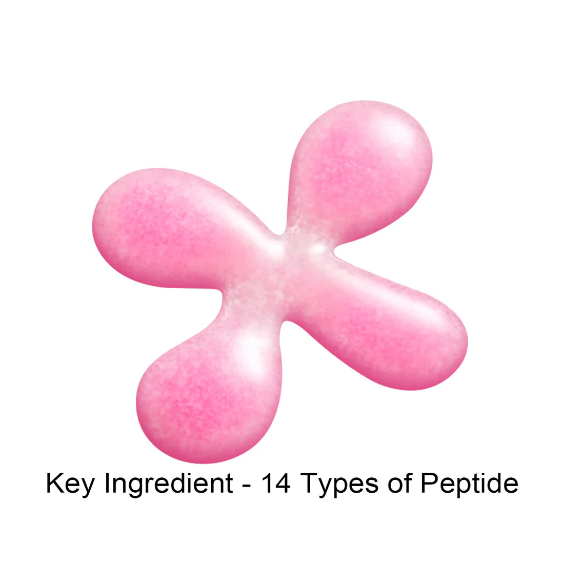 Pink peptide molecule model on a white background with text 'Key Ingredient - 14 Types of Peptide'.
