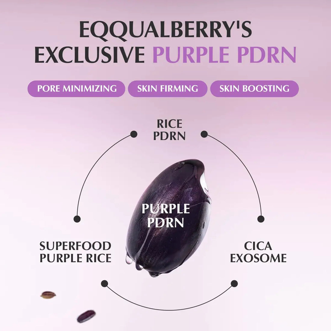 Advertisement for Eqqualberry's Exclusive Purple PDRN with purple rice and Cica exosome on a pink background.