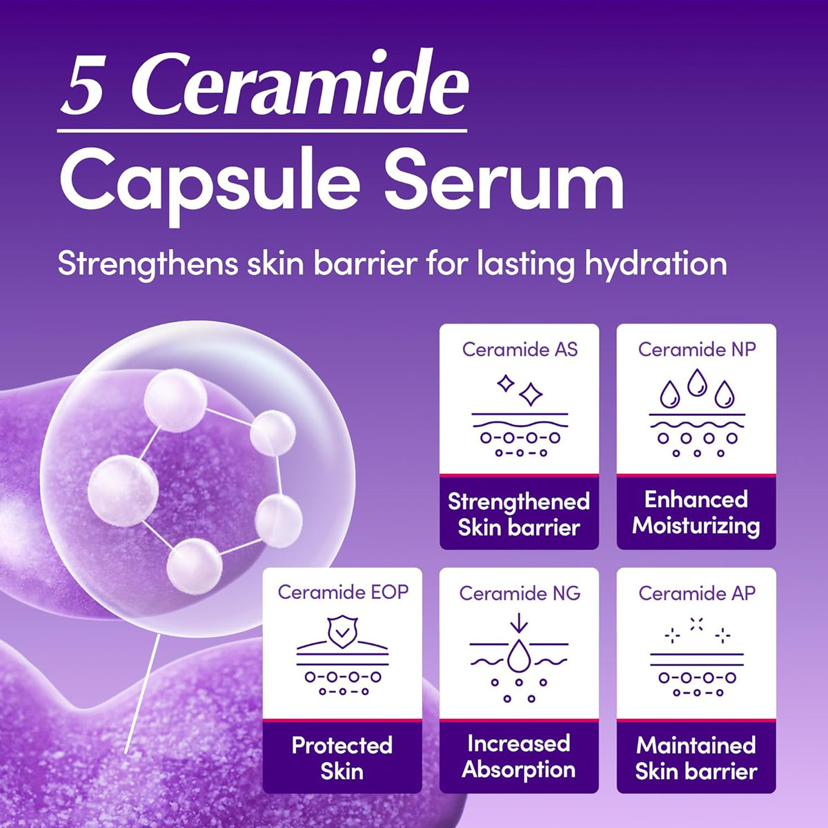 EQQUALBERRY Bakuchiol Plumping Serum – Korean anti-aging serum for firm, smooth, and radiant skin. Feature