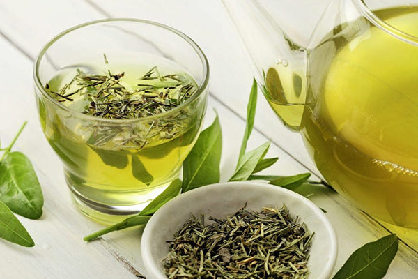 Green tea extract - Korean skincare ingredient