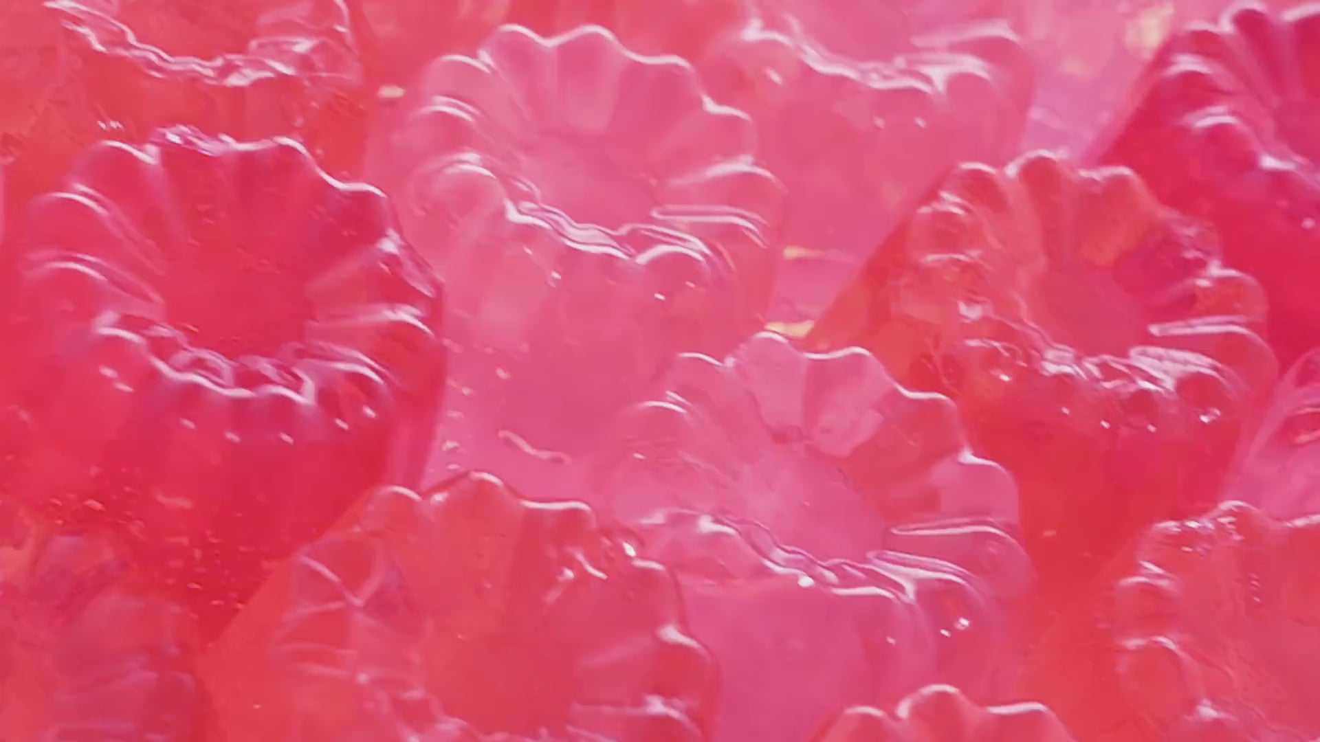 Collagen Niacinamide Jelly Cream